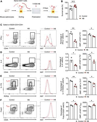 Huangbai Liniment Ameliorates Skin Inflammation in Atopic Dermatitis